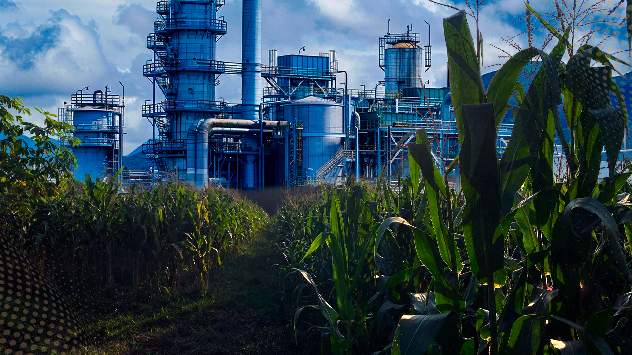 O Crescimento da Produção de Etanol de Milho no Brasil: Uma Revolução Energética Impulsionada pela Tecnologia